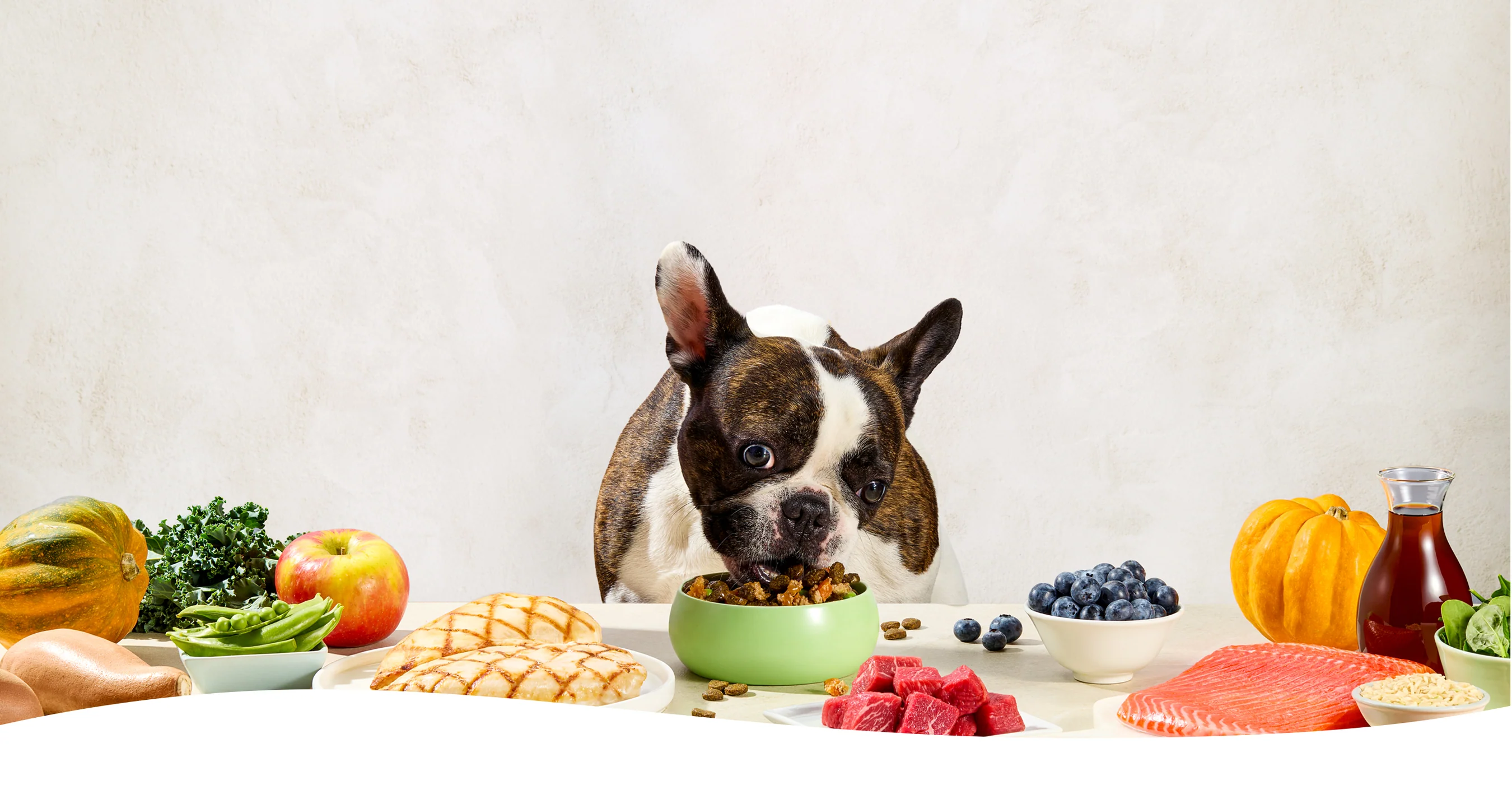 Elevate Your Pet's Plate